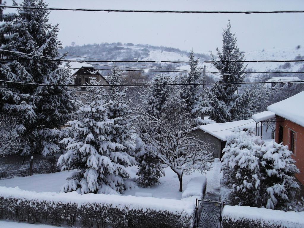 Appartamento Bekecs Vendégház Nagyvisnyó Esterno foto